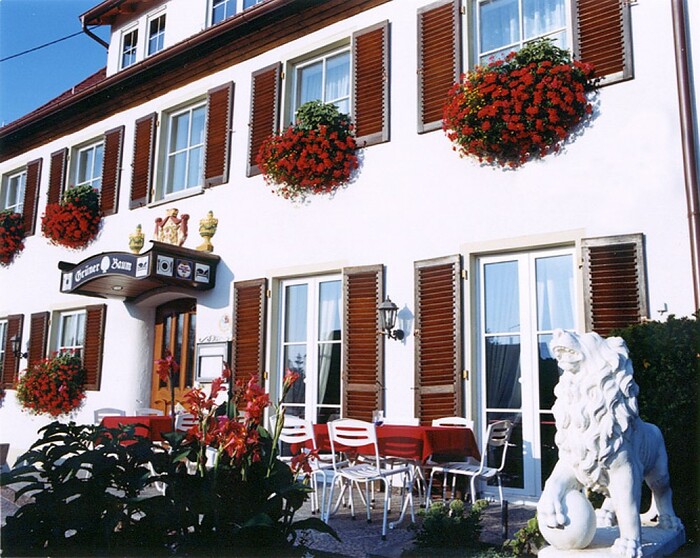 Restaurant Grüner Baum in Unterschneidheim