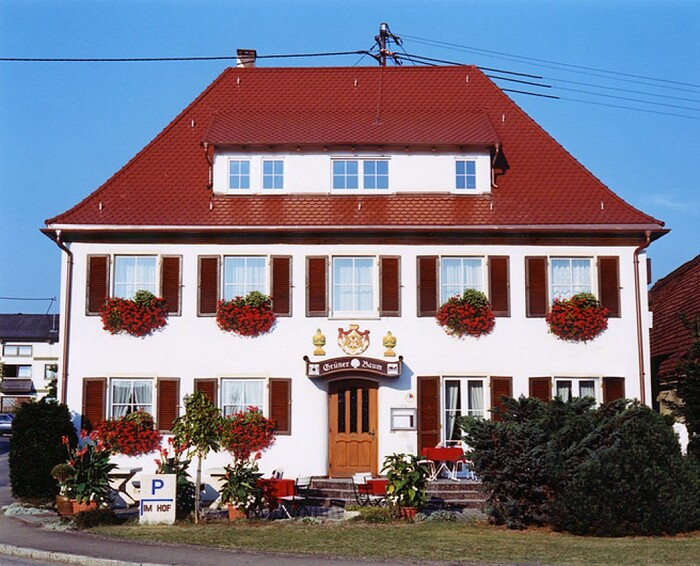 Grüner Baum in Unterschneidheim, Foto 11