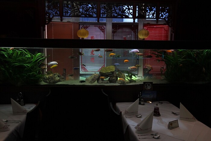Tai Ping China Restaurant GmbH in Bad Aibling, Foto 4