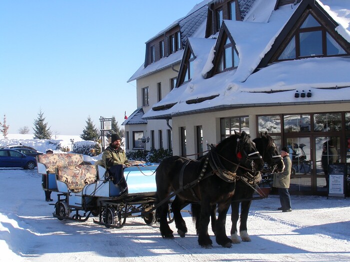Hotel Waldesruh in Lengefeld, Foto 1