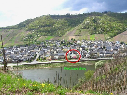 Weinhaus Berg in Bremm, Foto 4