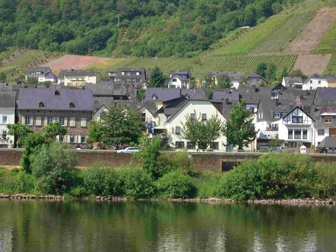 Weinhaus Berg in Bremm, Foto 3