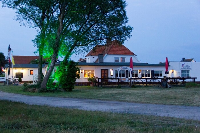 Stranddistel Insel Hiddensee in Neuendorf, Foto 9