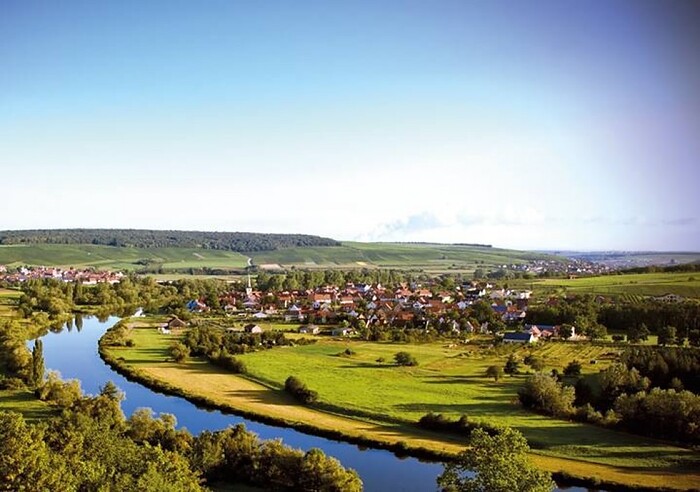 Brauner Bär und weiße Taube in Volkach, Foto 9