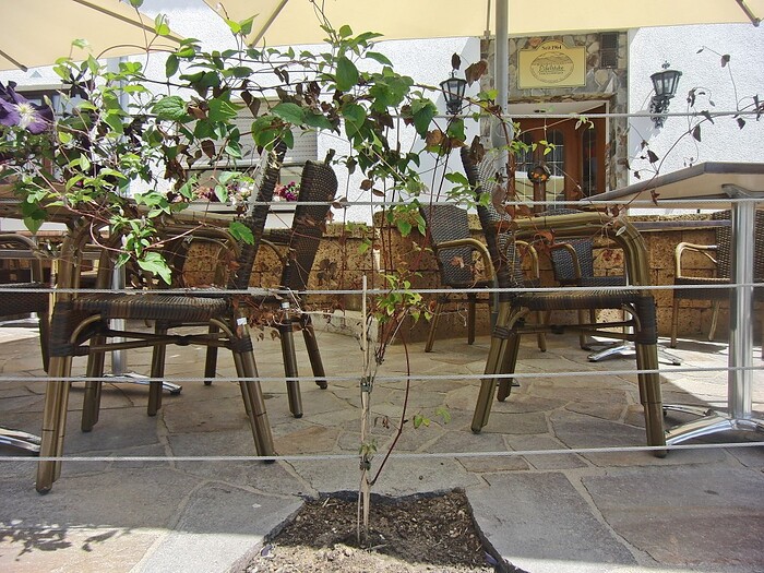 Restaurant-Gasthaus Eifelstube in Rodder, Foto 7