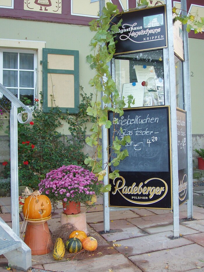 Restaurant Ziegelscheune in Bad Schandau