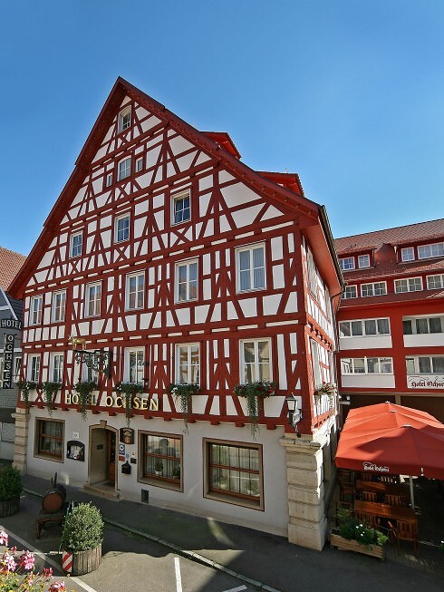 Ochsen in Blaubeuren, Foto 4
