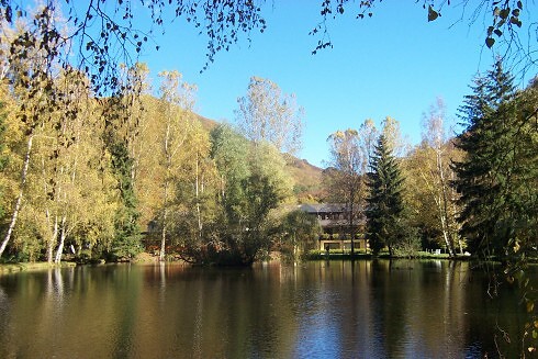 Land-gut-Hotel Forellenhof in Bruschied, Foto 1