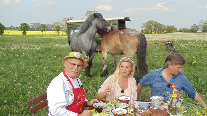 Landgasthof Hotel Zum Stern in Werben, Foto 5