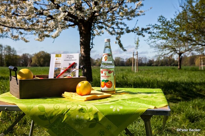 Landgasthof Hotel Zum Stern in Werben, Foto 10