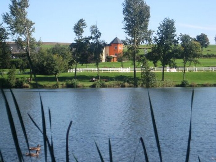 Speisekarte Hotel Restaurant Fronhof in Kell am See