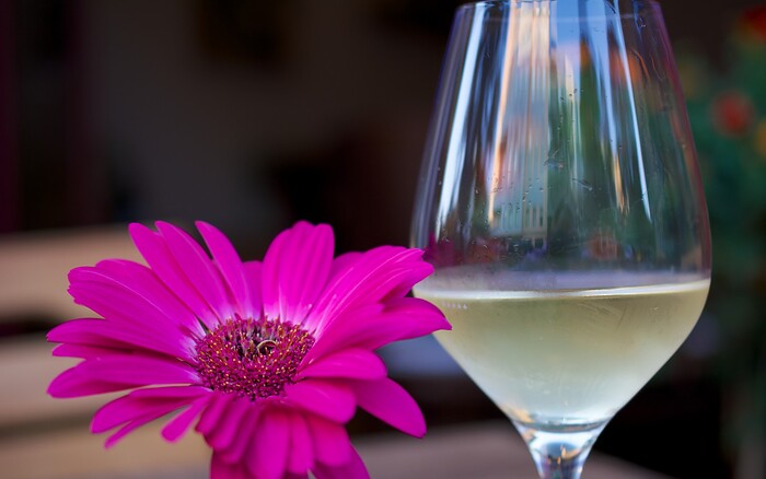 Bragato Vini & Gastronomia in Berlin, Foto 7