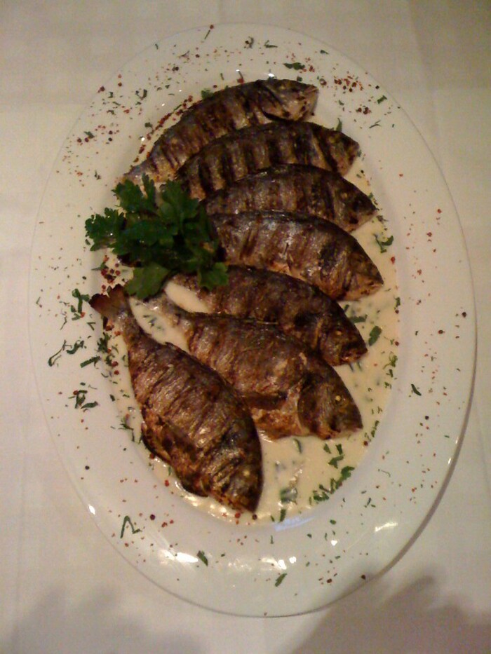 Ristorante Boccacelli in Berlin, Foto 6