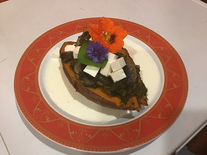 Bio-Restaurant Piccolo Paradiso in Hamburg