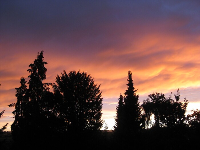 Hotel Cafe Drei Tannen in Calw, Foto 9