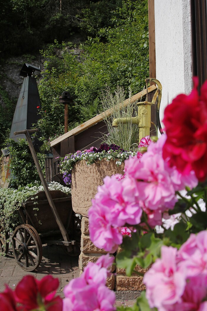 Landhotel Berg in Dannenfels, Foto 6