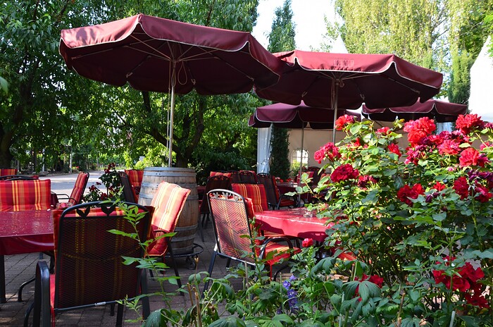 Weingut Anselmann Brunnenterrasse in Edesheim, Foto 6