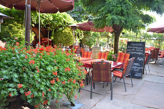 Weingut Anselmann Brunnenterrasse in Edesheim, Foto 4