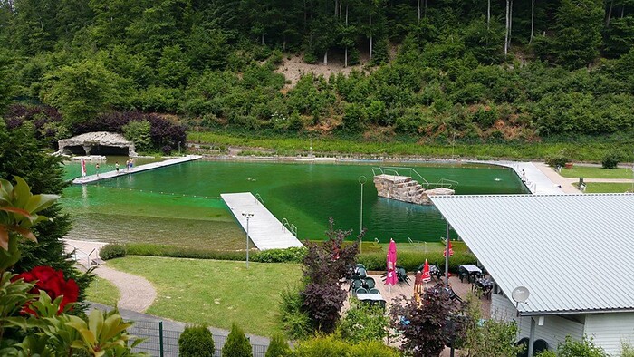Restaurant Waldseebad in Gaggenau, Foto 3