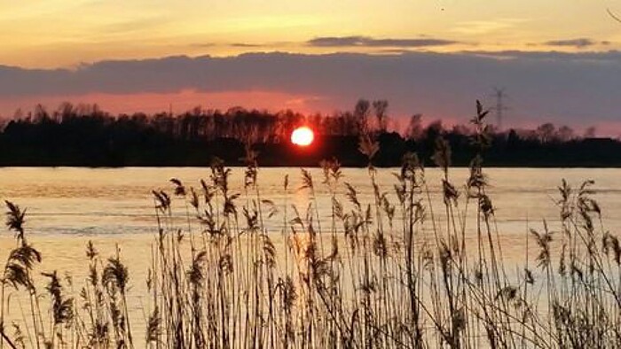 elb-matrose in Geesthacht, Foto 1