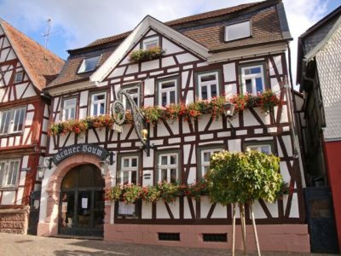 Hotel Restaurant Zum Grünen Baum in Michelstadt