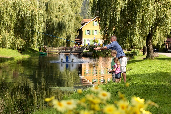 Hotel und Restaurant Zur alten Mühle in Neuenbürg, Foto 9
