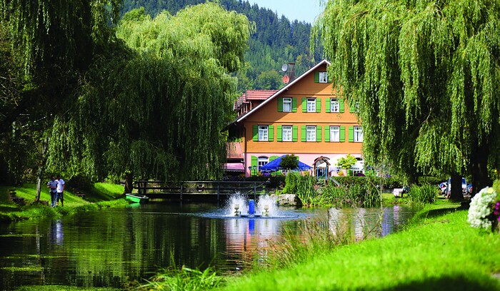 Hotel und Restaurant Zur alten Mühle in Neuenbürg, Foto 8