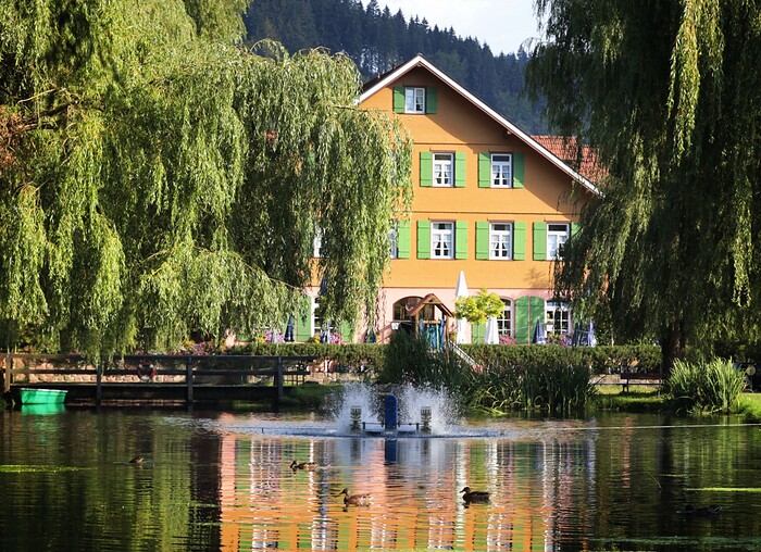 Hotel und Restaurant Zur alten Mühle in Neuenbürg, Foto 15
