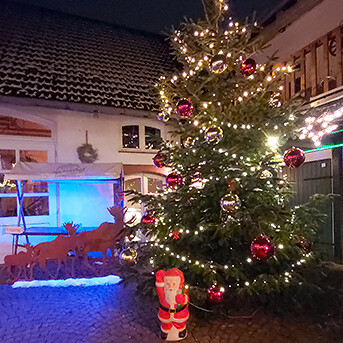 Hauzelhof Wallau in Hofheim am Taunus, Foto 10