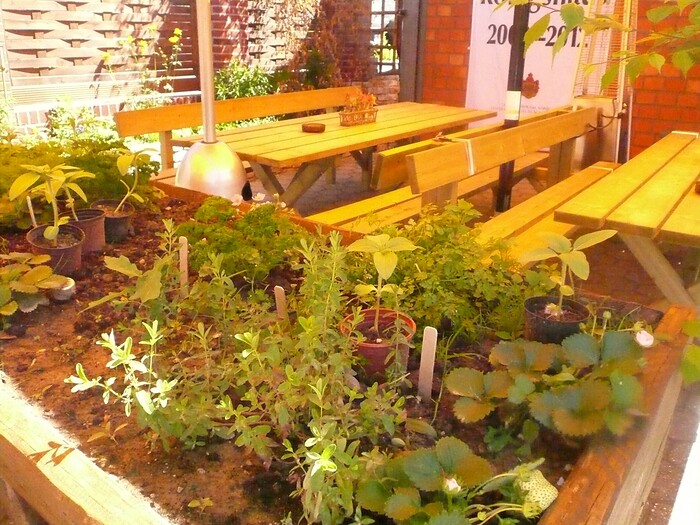 Hotel & Restaurant Haus Berger in Viersen, Foto 7