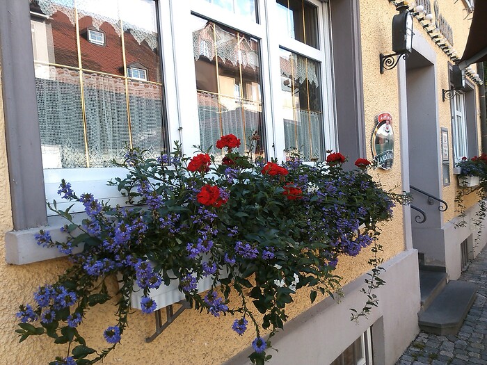 Gasthaus Lamm in Wangen im Allgäu, Foto 6