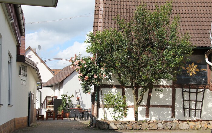 Restaurant Zur Post  in Zwingenberg, Foto 14